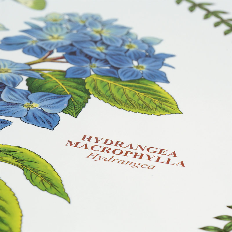 Portmeirion, Botanic Garden - Placemats