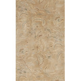 Hand Knotted Wool Area Rug