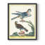 «Pastel Birds III», reproduction encadrée - bois massif-1390408883-1390408887