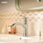 Moen Karis Single Handle Bathroom Faucet with Push Down Drain, Deckplate Included-77119977