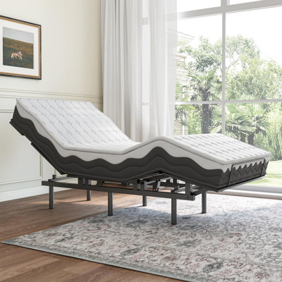 Barwin Metal Platform Bed
