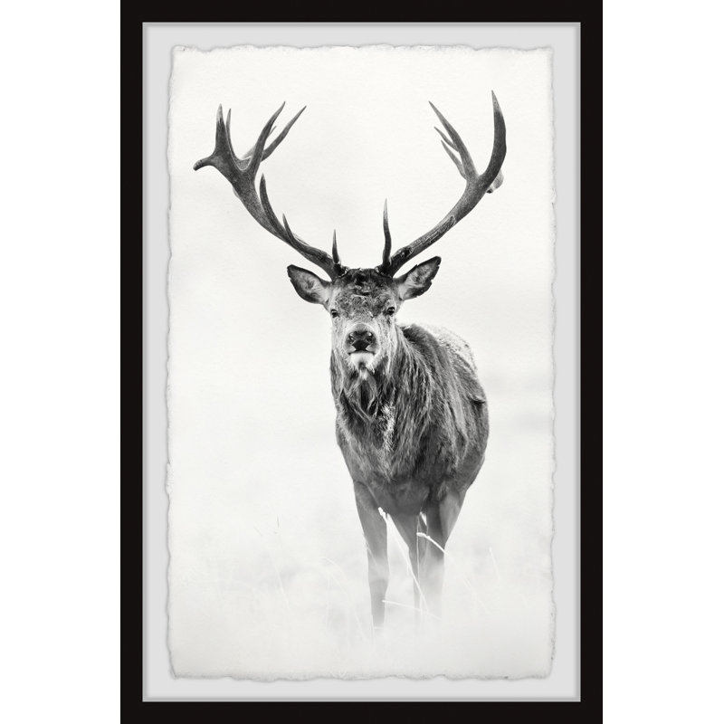 Single Picture Frame Print, 61cm H x 41cm W