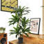Akmal Faux Plant-1694493991