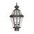 2 Light Outdoor Post Lantern Pendant with Clear Glass Shade-101230847