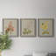 Botanical Array I - ensemble de 3 peintures sur toile encadrées-1480606619-1480606613