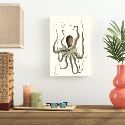 Collection Antique Octopus I