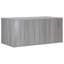 Litter Box-468981969