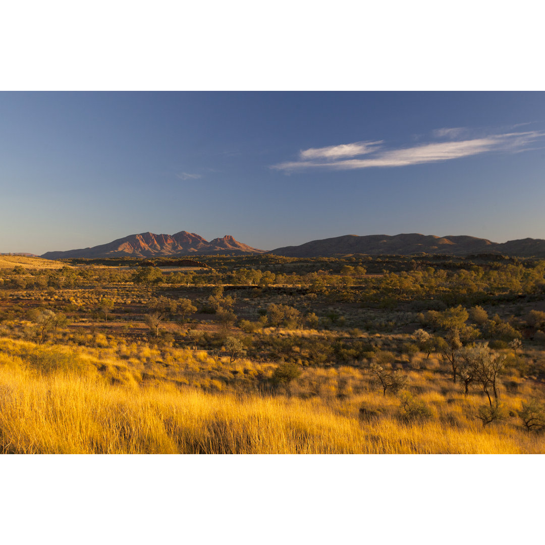 West Macdonnell Ranges von TonyFeder - Kunstdrucke auf Leinwand