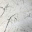 Blanc, noir, naturel, véritable terra mica, pierre, papier peint uni, effet paillettes marbrées
