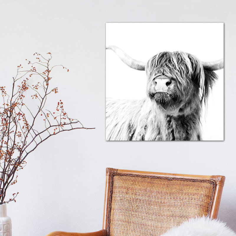 Highland Cattle Frida Black and White Square 1 Piece Wrapped Canvas Wall Art, 45.72 cm H x 45.72 cm W x 1.91 cm D