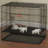 Metal Pet Crate with 2 Doors