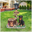 Statue jardinière Rottweiler
