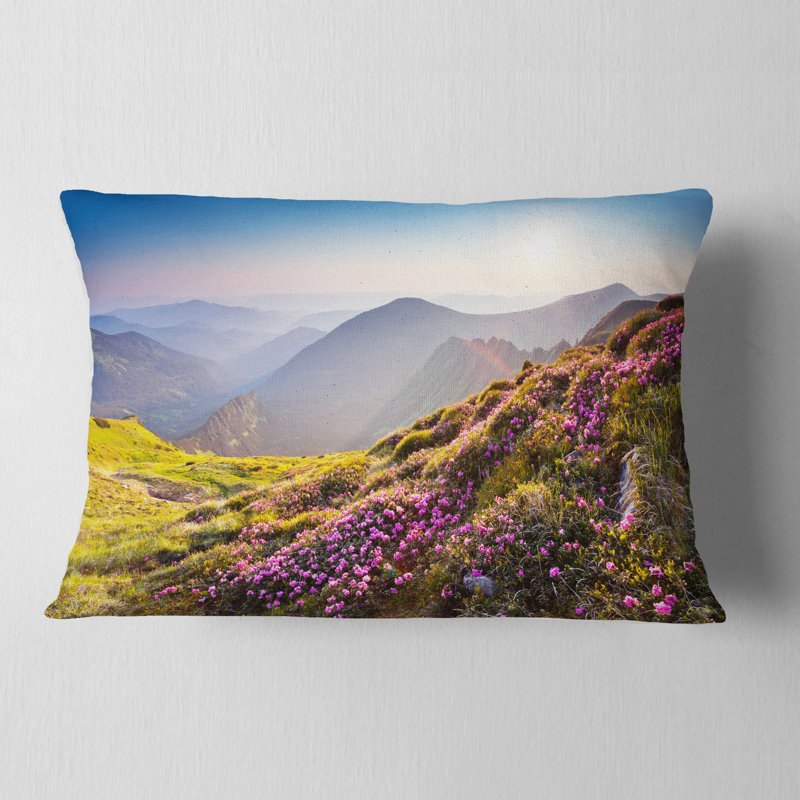 Coussin Schafer