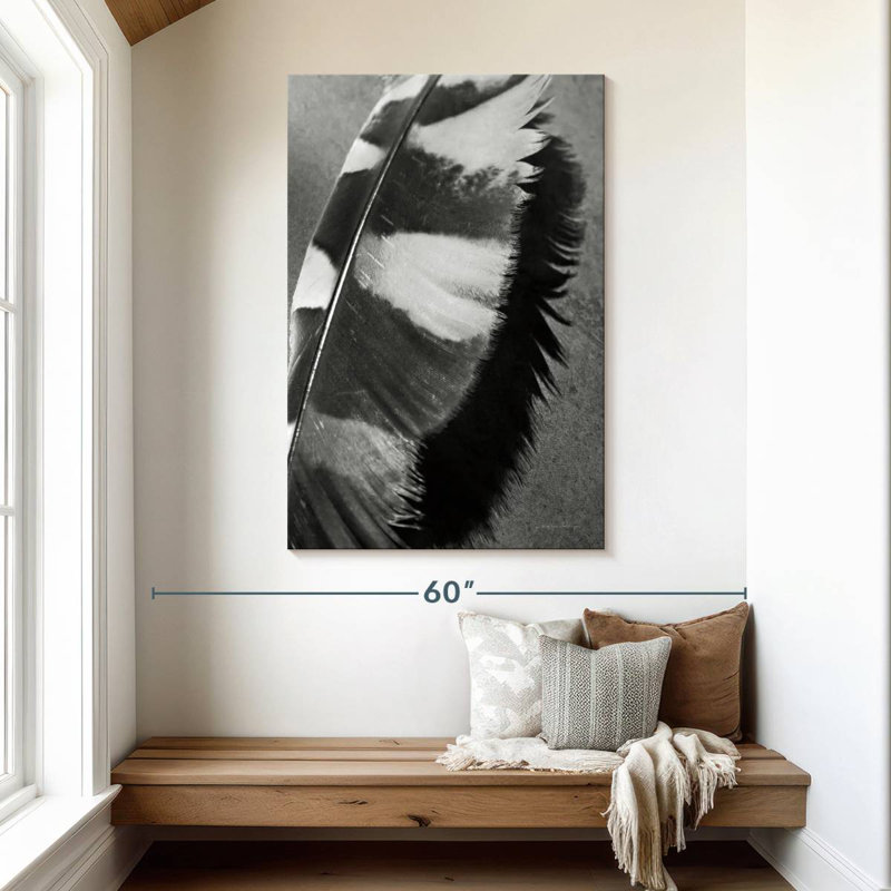 Plume Kerner Shadow II, H 48 po x l 32 po