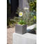 Geo Series Cube Planter-87184363-87239277