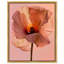 Amber Radiance I Print by Oliver Gal-337204766-337204757