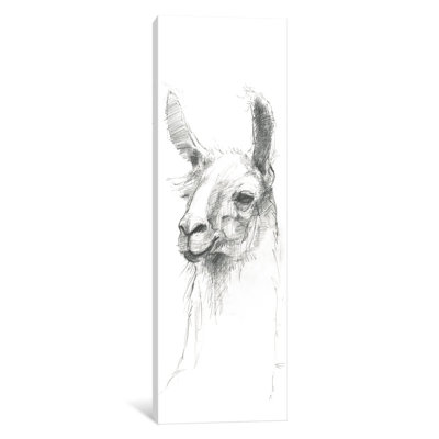 " Bianca Sketch " by Avery Tillmon