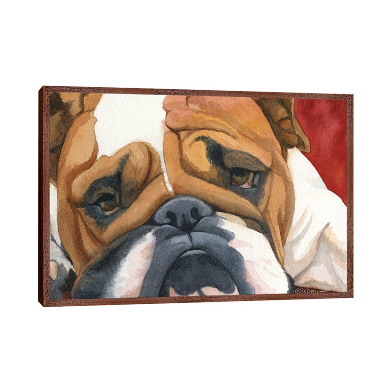 Bruiser The Bulldog by Teresa Kogut - Painting on Canvas, 45.72cm H x 66.04cm W x 3.81cm D, Classic Brown Wood Floater Framed