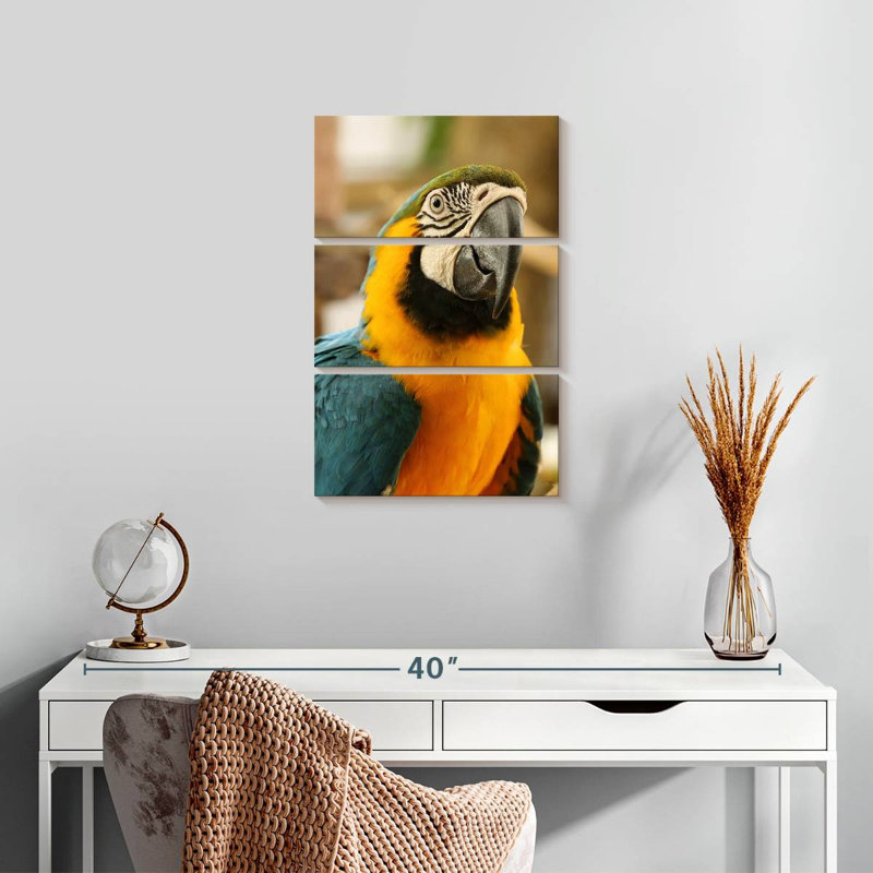 Brampt Exotic Macaw, 32" H x 20" W