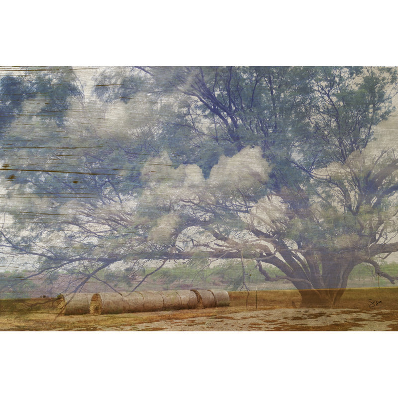 Texas Tree Collage, H 12 po x l 18 po x P 1,25 po