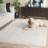 Mukilteo Penelope Shag Performance Solid Color Rug-1603247943