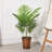 Palmier artificiel vert Adeca-847091448