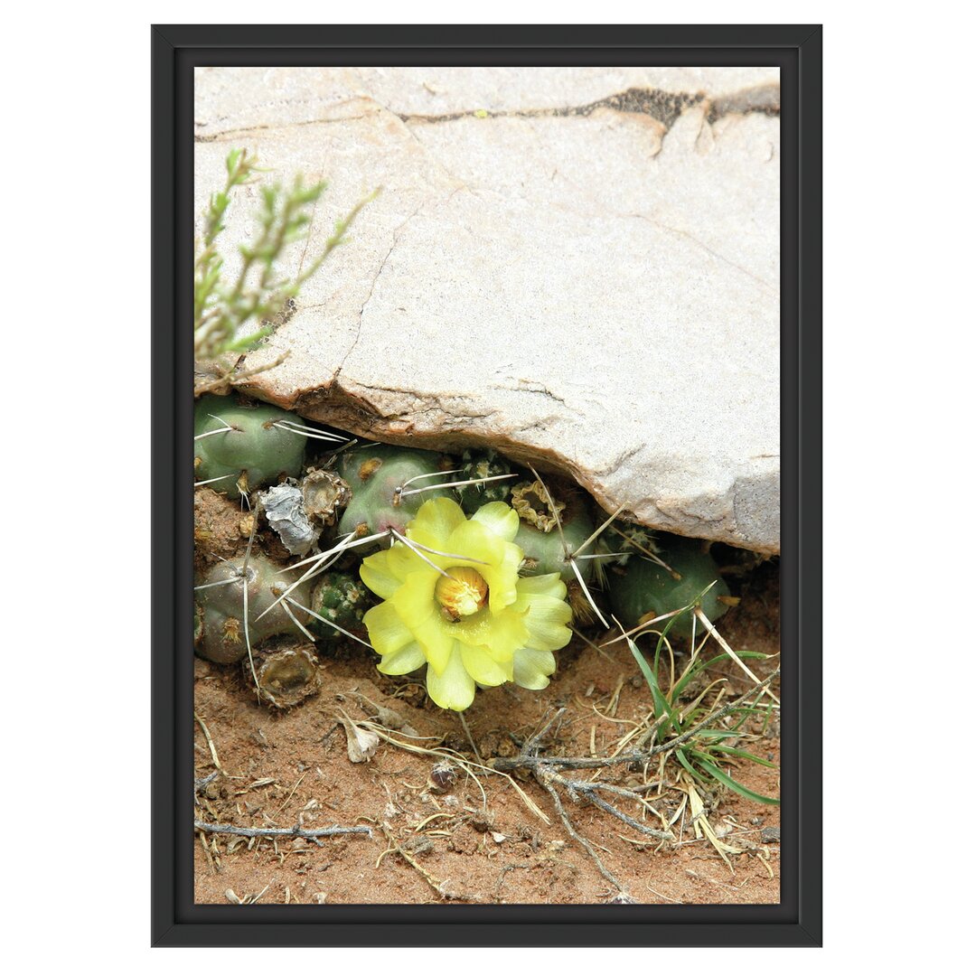 Gerahmtes Wandbild Kakteen mit gelber Blüte