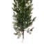 66'' in. Faux Garland