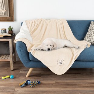 https://assets.wfcdn.com/im/21704975/resize-h310-w310%5Ecompr-r85/1658/165861229/pet-polyester-blanket.jpg