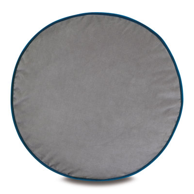 Studio 773 Lifestyle Down Reversible Throw Pillow