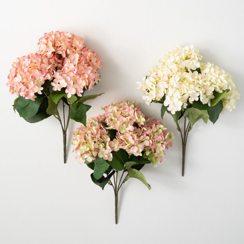 Jets d'hortensias