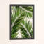 Palm Leaf III - Print-39523797-39523792