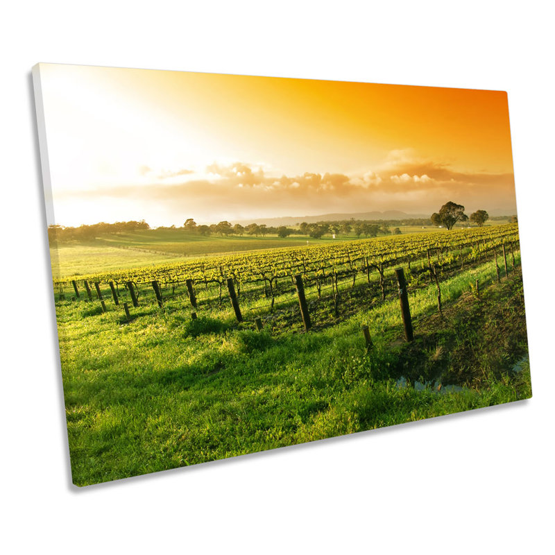 Summer Vineyard Sunset Landscape - Wrapped Canvas Print, 30.5cm H x 45.7cm W