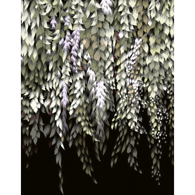 Lush Wisteria Cascades Print by Other Artist