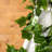 6'' in. Faux Grapevine Garland