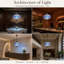 Lustre Richarde