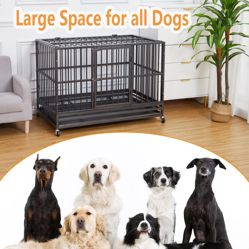 Large 48 Inch Black Rolling Steel Dog Crate