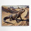 Faune, désert, art mural en métal brun-465911838