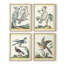 «Pastel Birds I», ensemble de 4 encadrés-109518766-109518765