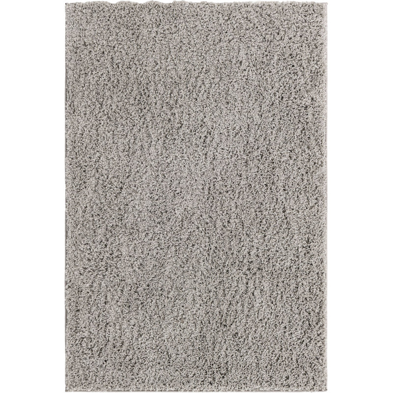 Indoor Rug, Rectangle 4' x 6'