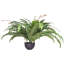 60cm Faux Fern Plant-1788137181-1788137152