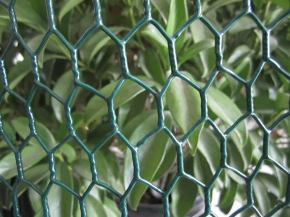 Falmacrilly Shade Cloth and Cover