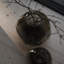 Vase de table Filia