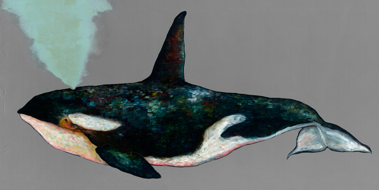 «Orca», reproduction sur toile tendue, H 24 po x l 48 po
