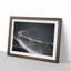 Snow upon a Mountain Peak in Abstract - Picture Frame Graphic Art Print-55725736-55725742
