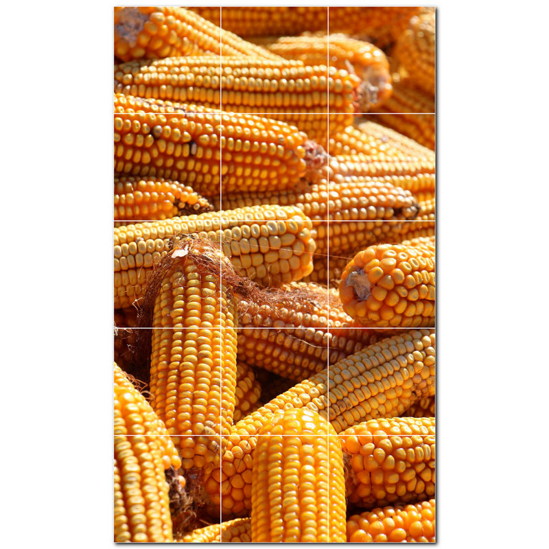 Photo de ferme 8 x 8