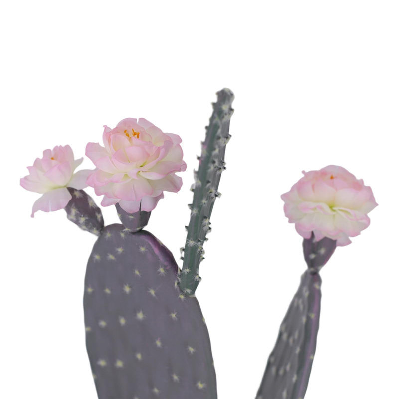 118cm Plant