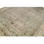 Chantel Oriental Area Rug