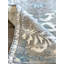 Tiny Knots Wool Floral Area Rug in Kinross Seaglass