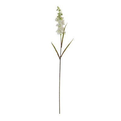 Astilbe Floral Stem (Set of 4)